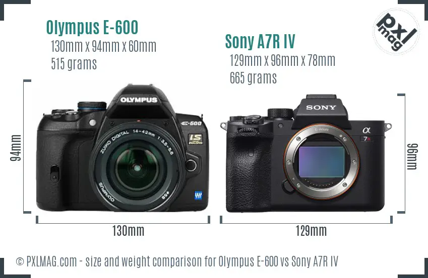 Olympus E-600 vs Sony A7R IV size comparison