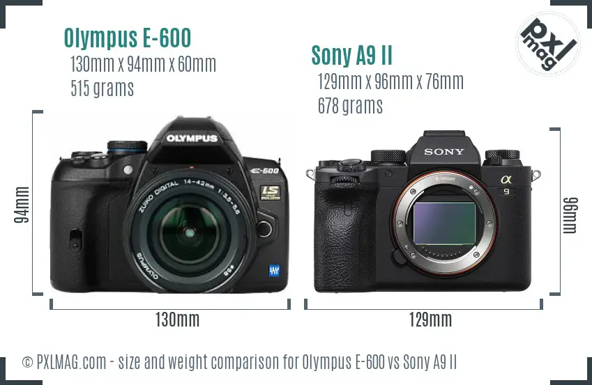 Olympus E-600 vs Sony A9 II size comparison Olympus E-600 vs Sony A9 II size comparison
