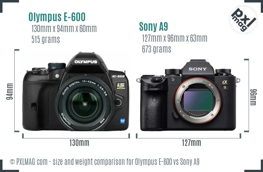 Olympus E-600 vs Sony A9 size comparison