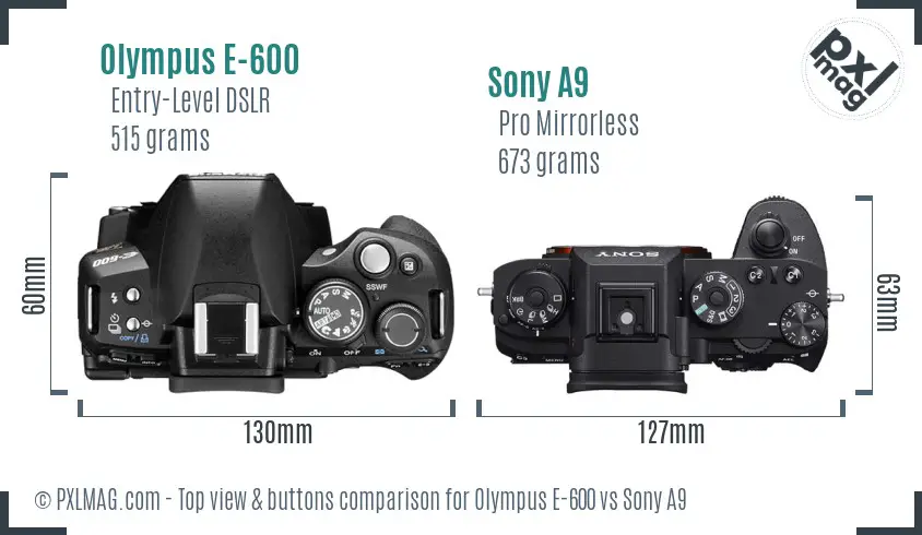 Olympus E-600 vs Sony A9 top view buttons comparison