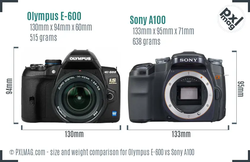 Olympus E-600 vs Sony A100 size comparison
