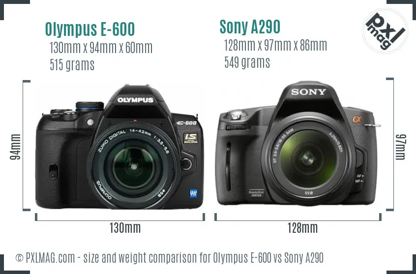 Olympus E-600 vs Sony A290 size comparison