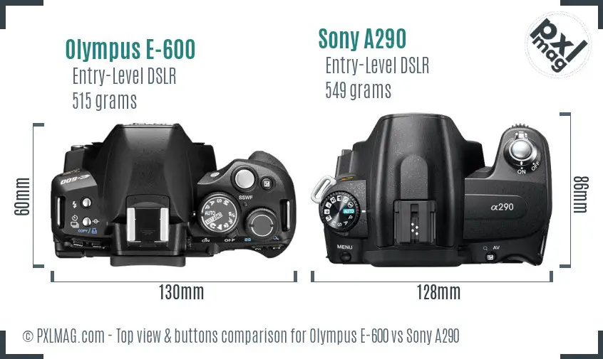 Olympus E-600 vs Sony A290 top view buttons comparison