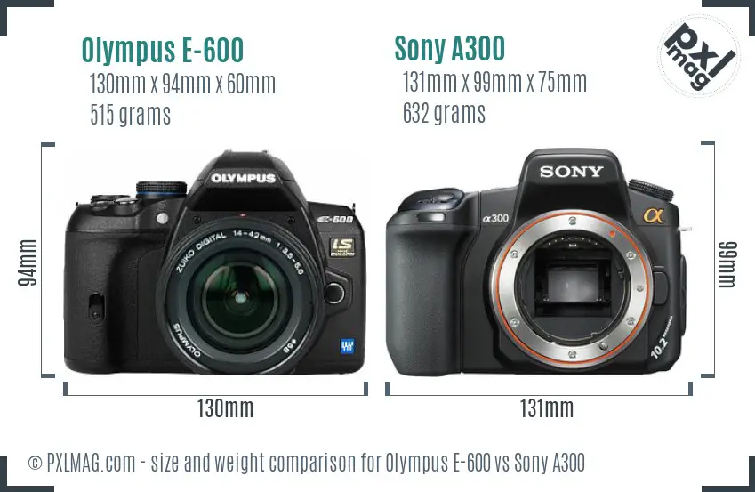 Olympus E-600 vs Sony A300 size comparison