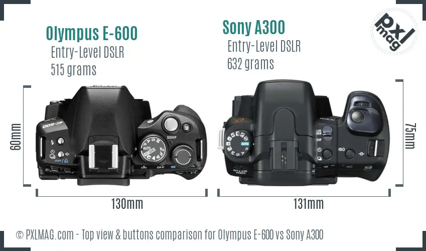 Olympus E-600 vs Sony A300 top view buttons comparison