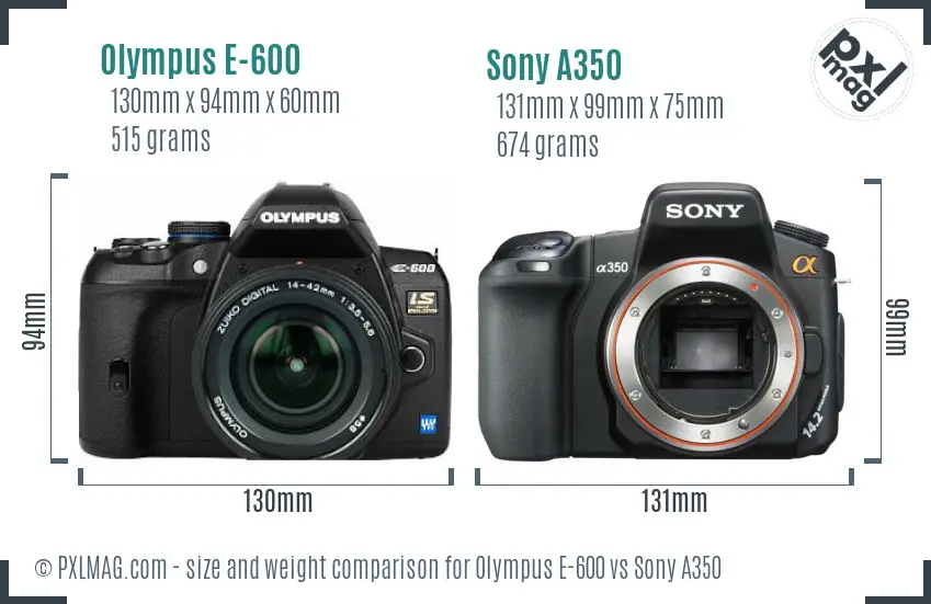 Olympus E-600 vs Sony A350 size comparison