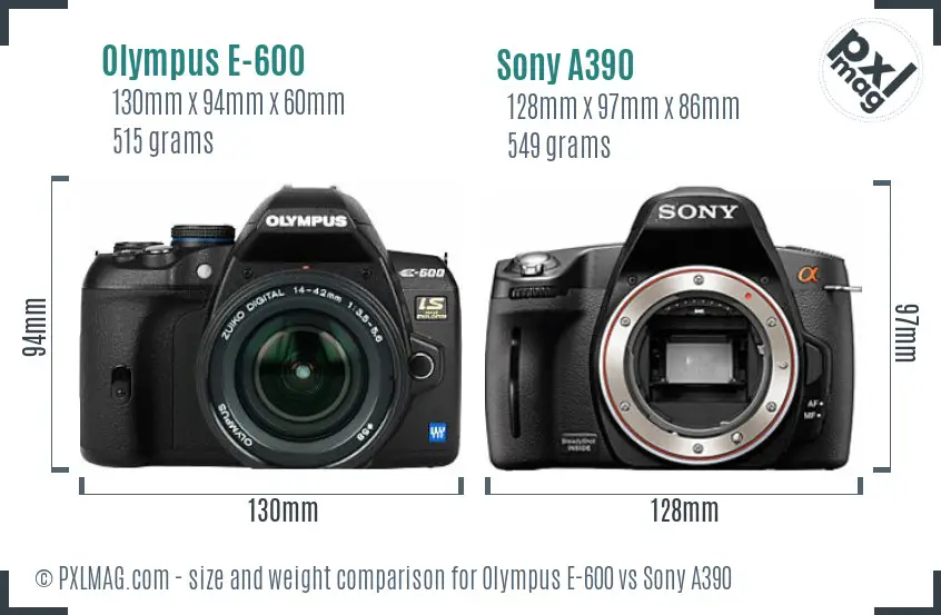 Olympus E-600 vs Sony A390 size comparison