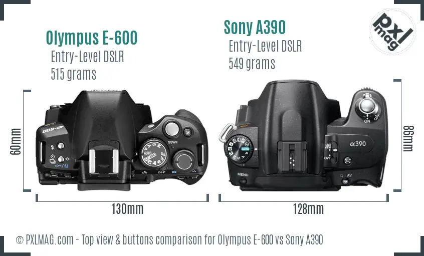 Olympus E-600 vs Sony A390 top view buttons comparison