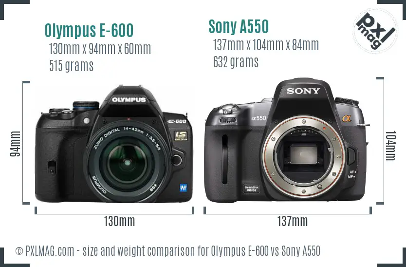 Olympus E-600 vs Sony A550 size comparison
