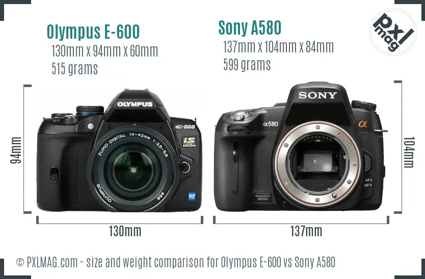 Olympus E-600 vs Sony A580 size comparison