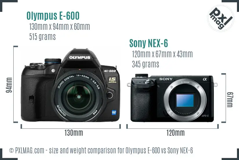 Olympus E-600 vs Sony NEX-6 size comparison