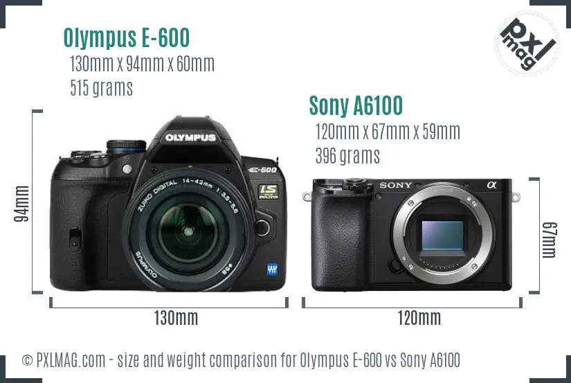 Olympus E-600 vs Sony A6100 size comparison