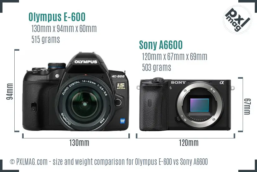 Olympus E-600 vs Sony A6600 size comparison