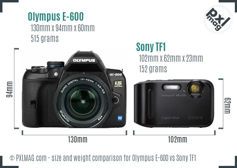 Olympus E-600 vs Sony TF1 size comparison Olympus E-600 vs Sony TF1 size comparison