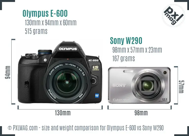 Olympus E-600 vs Sony W290 size comparison Olympus E-600 vs Sony W290 size comparison