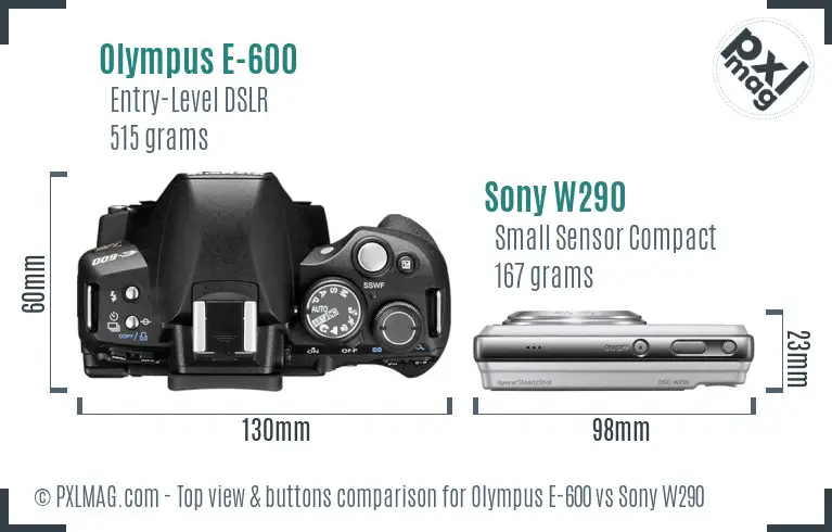 Olympus E-600 vs Sony W290 top view buttons comparison Olympus E-600 vs Sony W290 top view buttons comparison