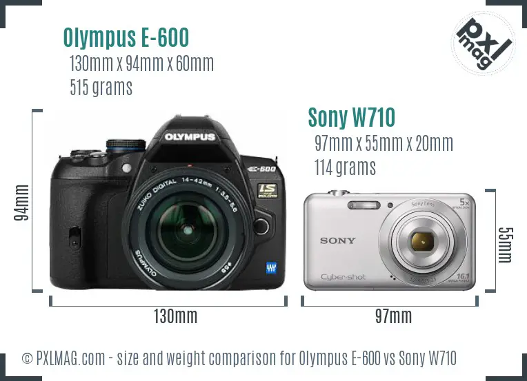 Olympus E-600 vs Sony W710 size comparison Olympus E-600 vs Sony W710 size comparison