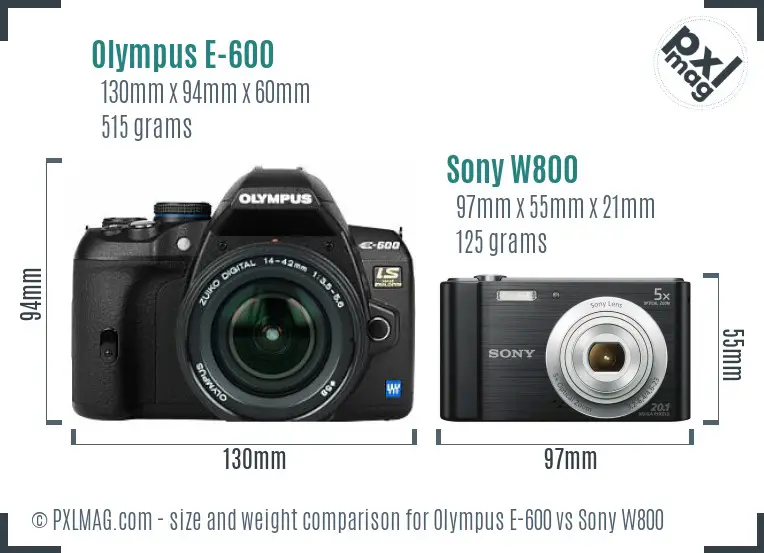 Olympus E-600 vs Sony W800 size comparison Olympus E-600 vs Sony W800 size comparison