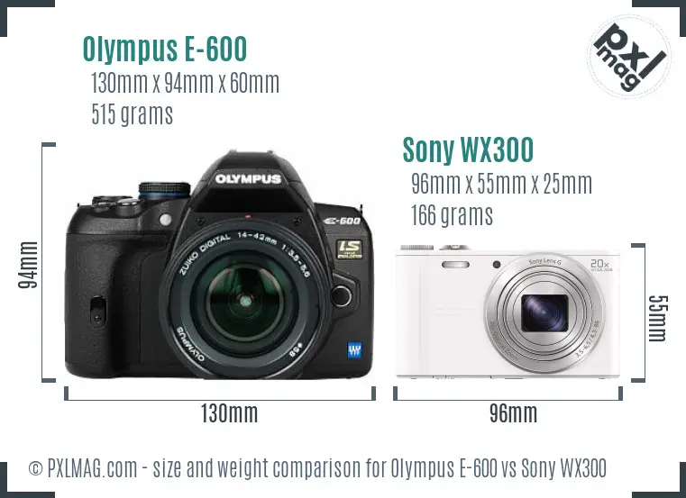 Olympus E-600 vs Sony WX300 size comparison