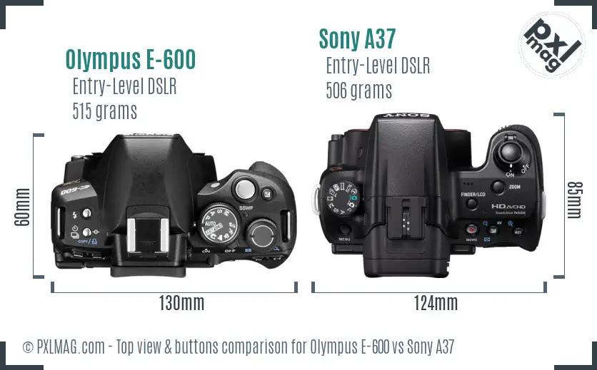 Olympus E-600 vs Sony A37 top view buttons comparison