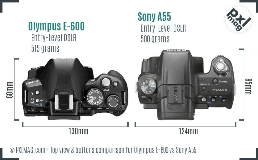 Olympus E-600 vs Sony A55 top view buttons comparison