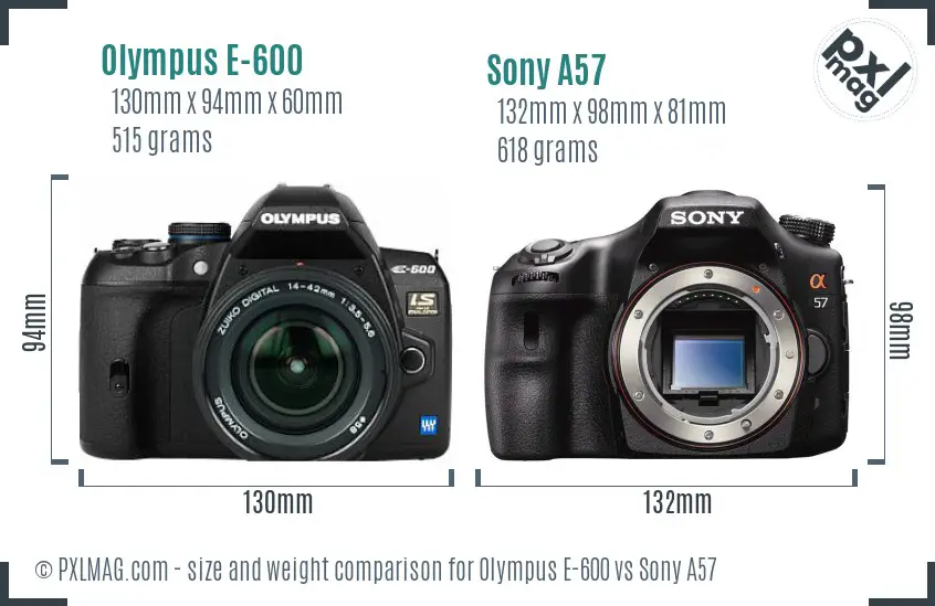 Olympus E-600 vs Sony A57 size comparison