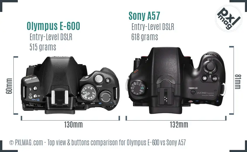 Olympus E-600 vs Sony A57 top view buttons comparison