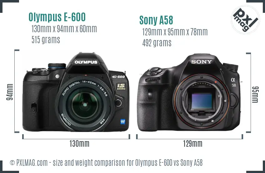 Olympus E-600 vs Sony A58 size comparison
