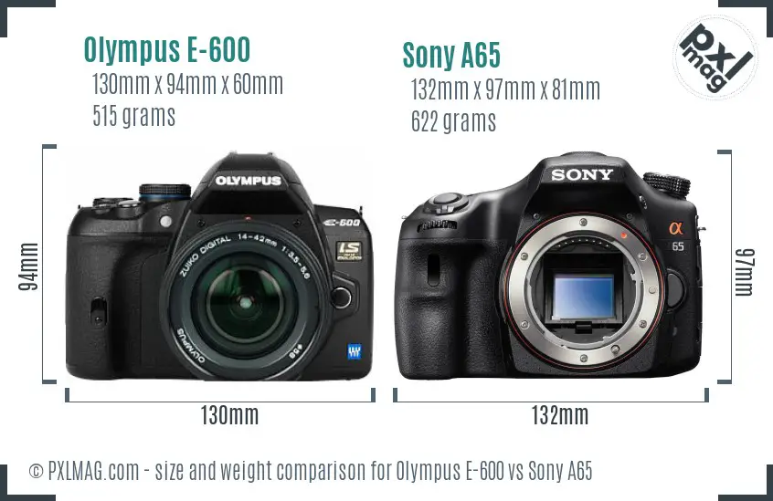 Olympus E-600 vs Sony A65 size comparison