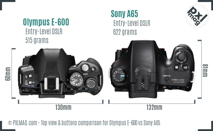 Olympus E-600 vs Sony A65 top view buttons comparison