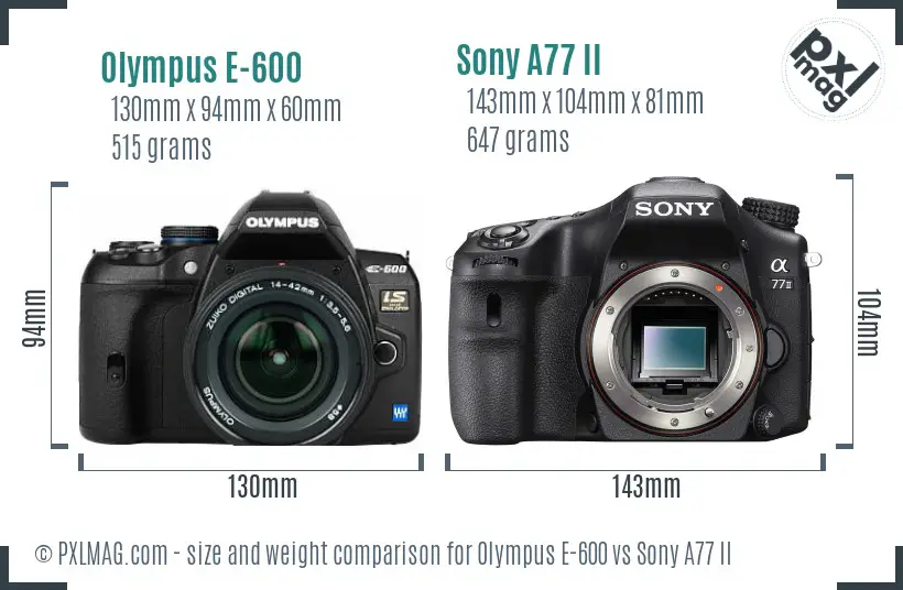 Olympus E-600 vs Sony A77 II size comparison