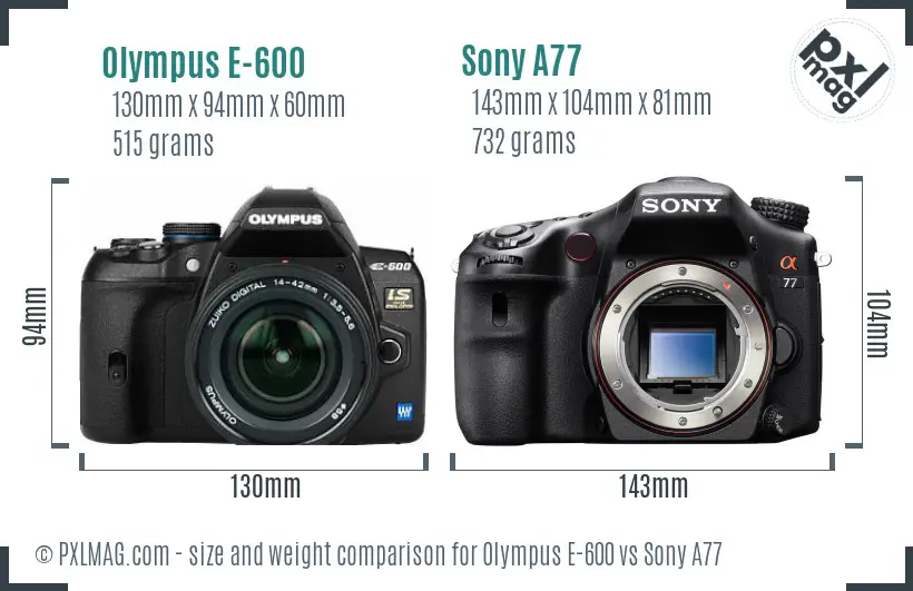 Olympus E-600 vs Sony A77 size comparison Olympus E-600 vs Sony A77 size comparison