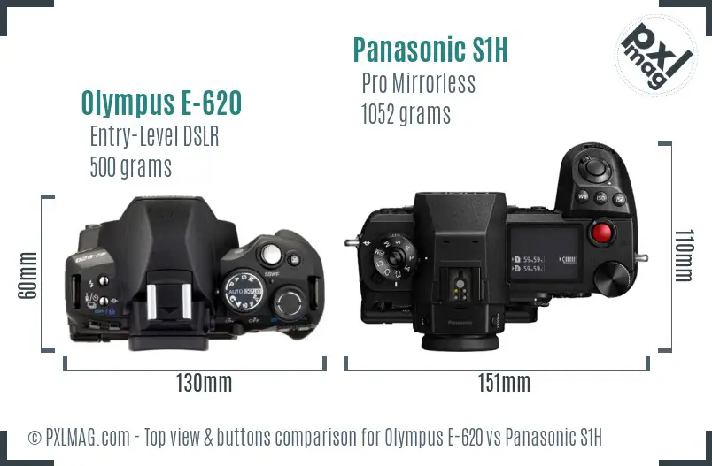 Olympus E-620 vs Panasonic S1H top view buttons comparison