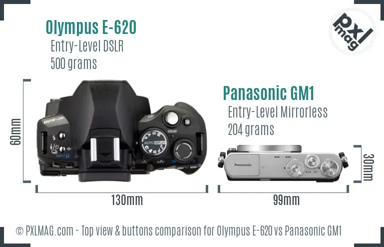 Olympus E-620 vs Panasonic GM1 top view buttons comparison