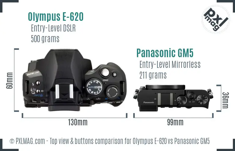 Olympus E-620 vs Panasonic GM5 top view buttons comparison