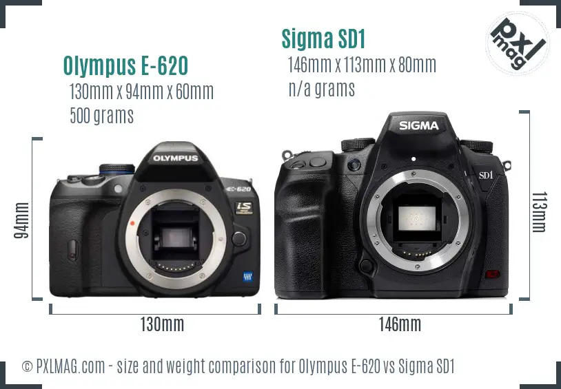 Olympus E-620 vs Sigma SD1 size comparison