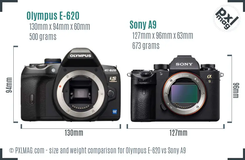 Olympus E-620 vs Sony A9 size comparison