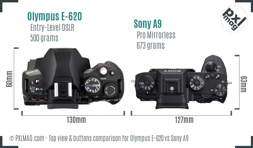 Olympus E-620 vs Sony A9 top view buttons comparison