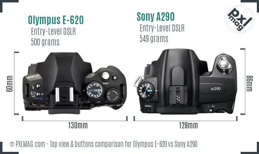 Olympus E-620 vs Sony A290 top view buttons comparison