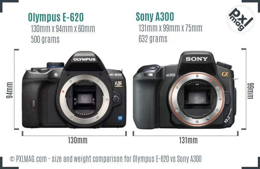 Olympus E-620 vs Sony A300 size comparison