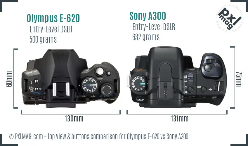 Olympus E-620 vs Sony A300 top view buttons comparison