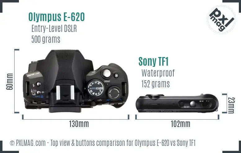 Olympus E-620 vs Sony TF1 top view buttons comparison