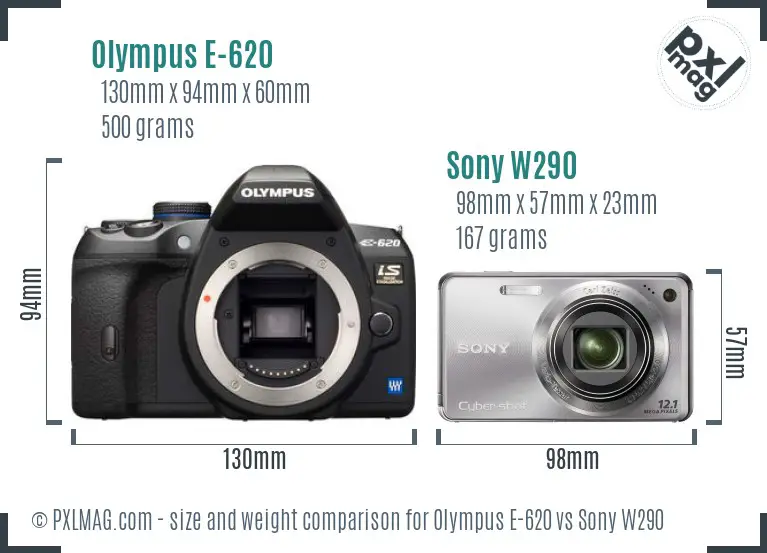 Olympus E-620 vs Sony W290 size comparison Olympus E-620 vs Sony W290 size comparison