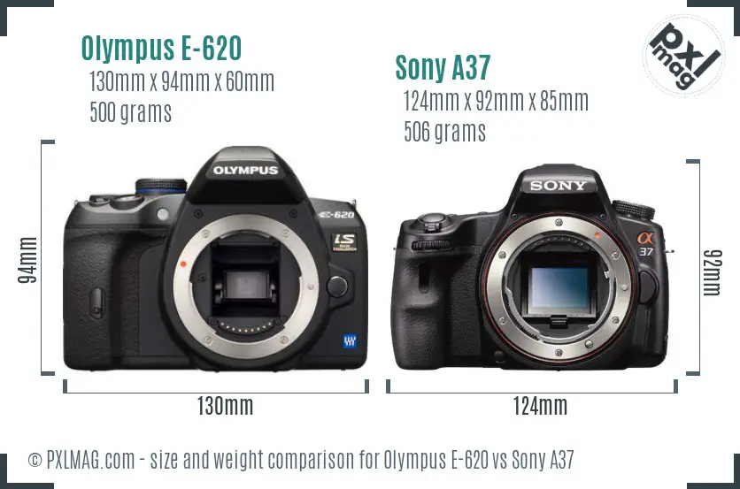 Olympus E-620 vs Sony A37 size comparison