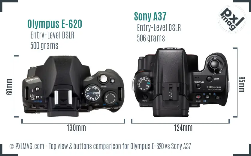 Olympus E-620 vs Sony A37 top view buttons comparison