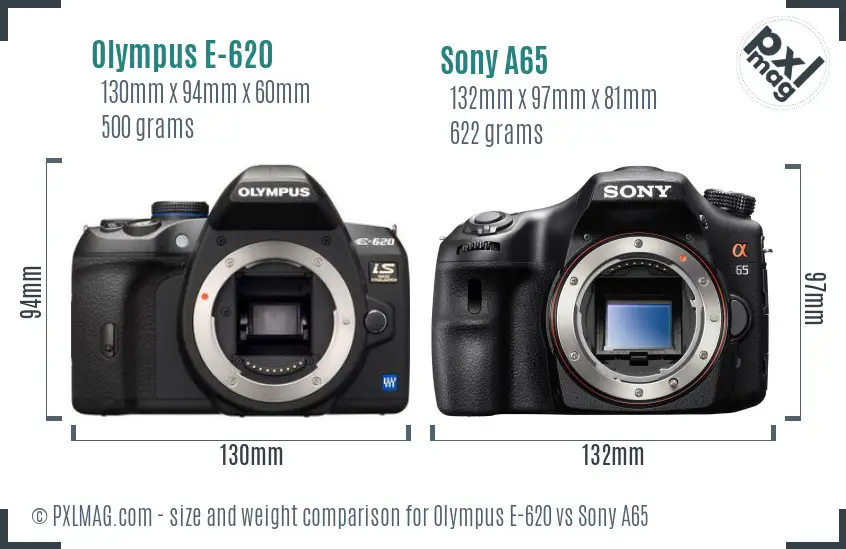 Olympus E-620 vs Sony A65 size comparison