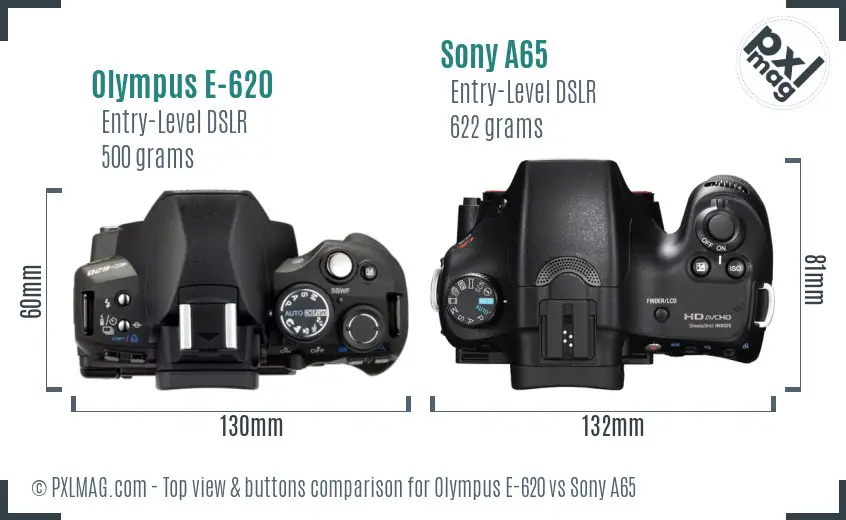 Olympus E-620 vs Sony A65 top view buttons comparison