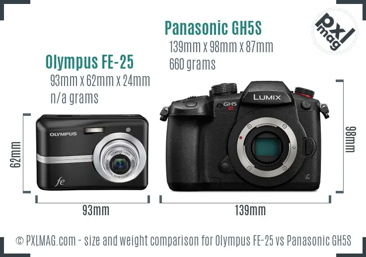 Olympus FE-25 vs Panasonic GH5S size comparison