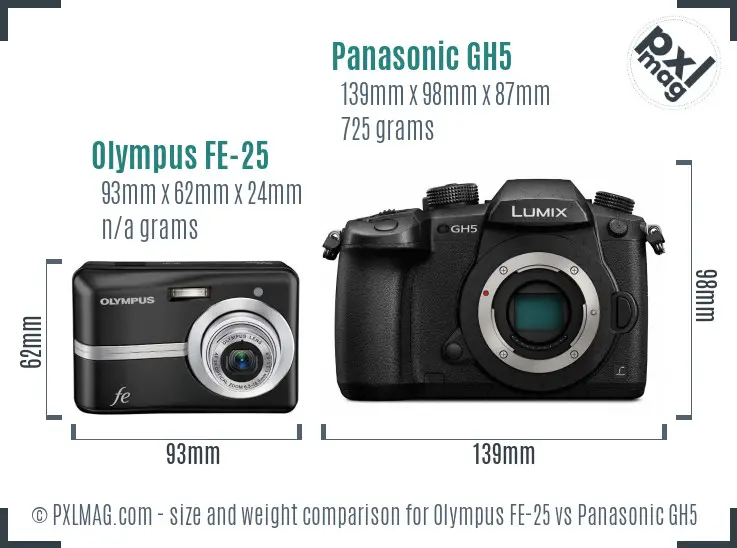 Olympus FE-25 vs Panasonic GH5 size comparison