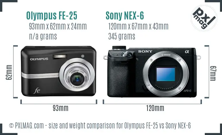 Olympus FE-25 vs Sony NEX-6 size comparison